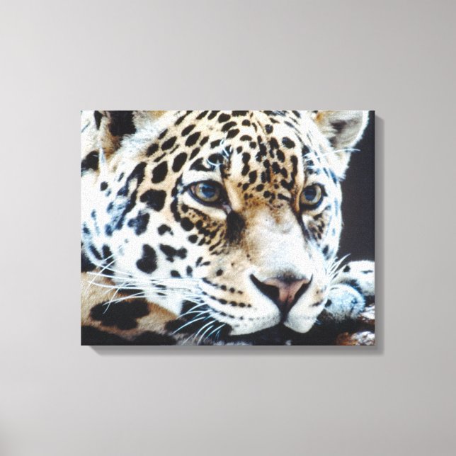 24114363 CANVAS PRINT (Front)