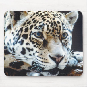 24114363 MOUSE PAD