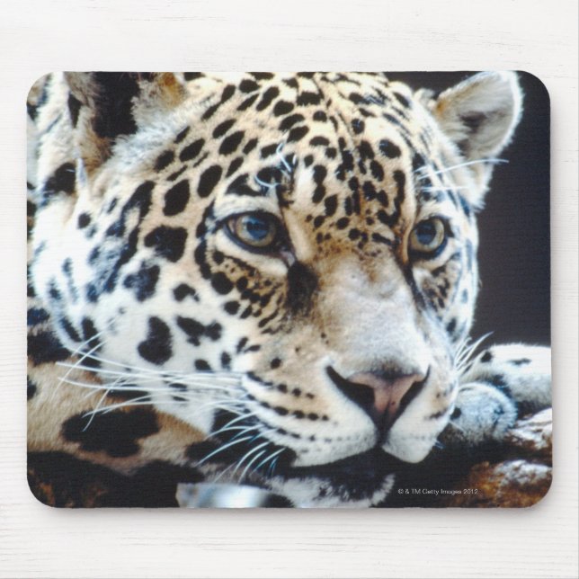 24114363 MOUSE PAD (Front)