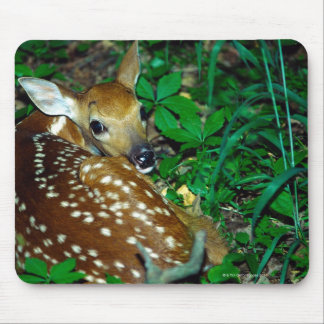 24114390 MOUSE PAD
