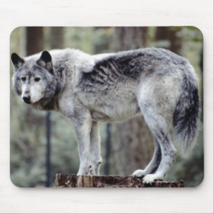 24114488 MOUSE PAD