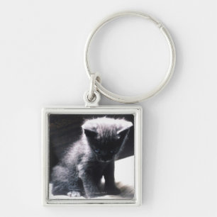 24117556 KEYCHAIN