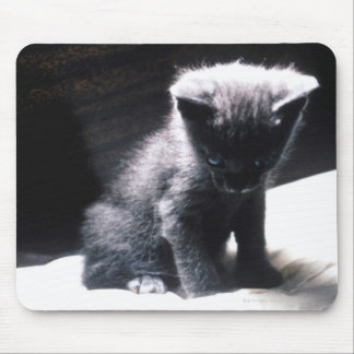 24117556 MOUSE PAD