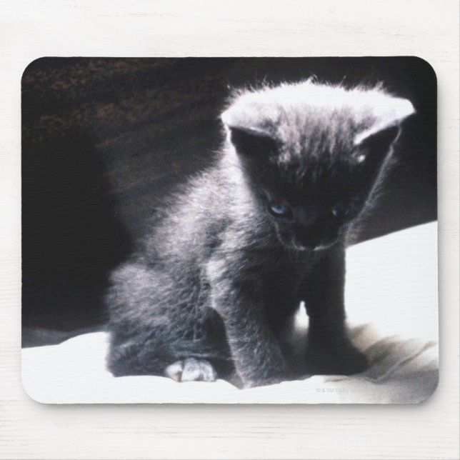 24117556 MOUSE PAD (Front)