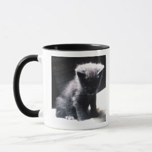 24117556 MUG