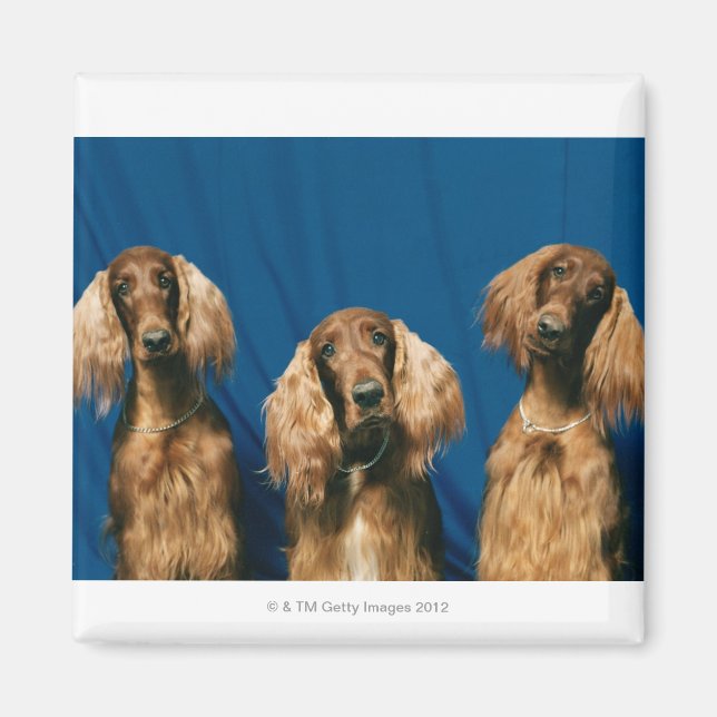 24119671 MAGNET (Front)