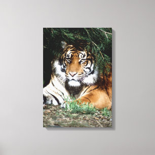 24121621 CANVAS PRINT