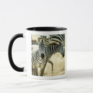 24123844 MUG