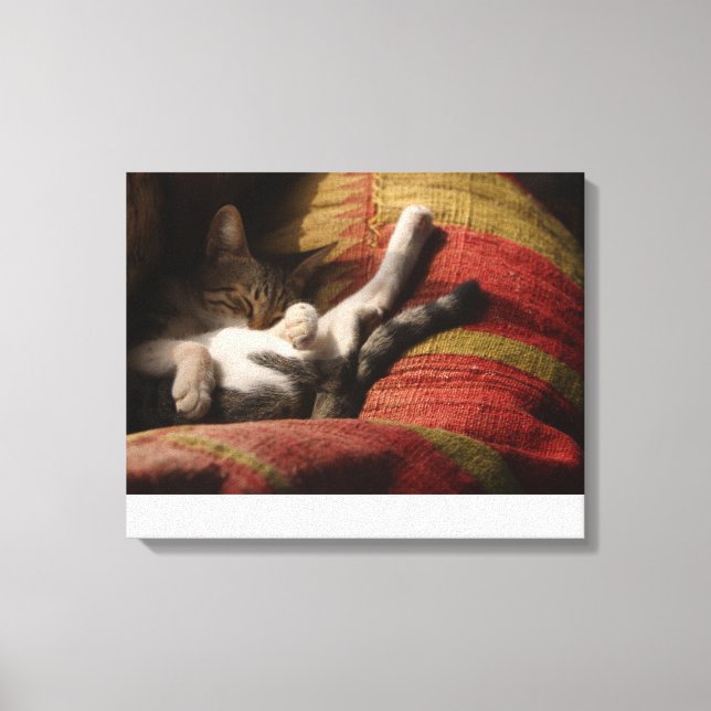 24140641 CANVAS PRINT (Front)