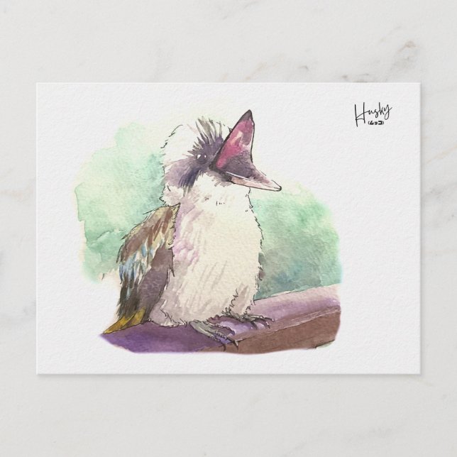 24 : Kookaburra Postcard (Front)