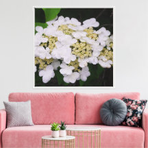 24"x24" White Viburnum