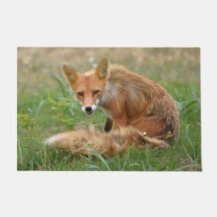 24" x 36" Door Mat of fox