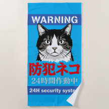 24h Security System