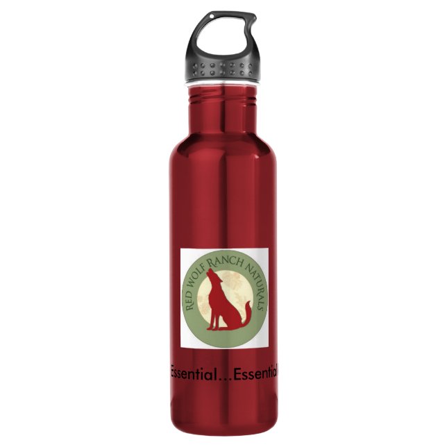 24oz Stainless Steel Water Bottle carabiner ready! (Front)