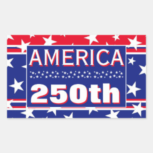 250 AMERICA STICKER