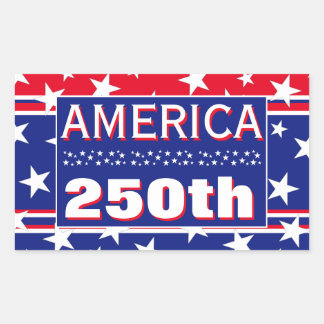 250 AMERICA STICKER