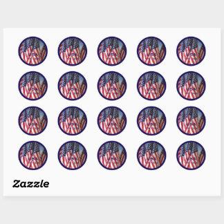 250th Anniversary USA Patriotic Flags Premium Classic Round Sticker