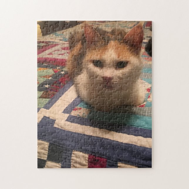 252 piece puzzle (Vertical)