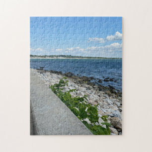 252 piece puzzle