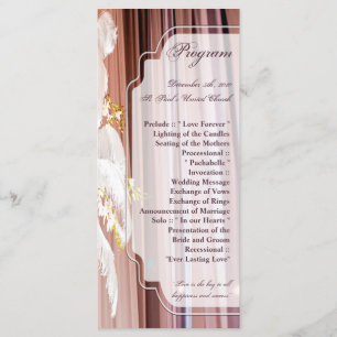 25 4x9 Programme de mariage Plumes Centre Pièce Gl