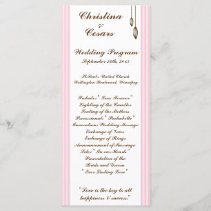 25 4x9 Wedding Program Birdcage/Pink Stripes cage
