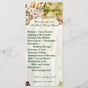 25 4x9 Wedding Program Chandelier in Oak Tree Crys