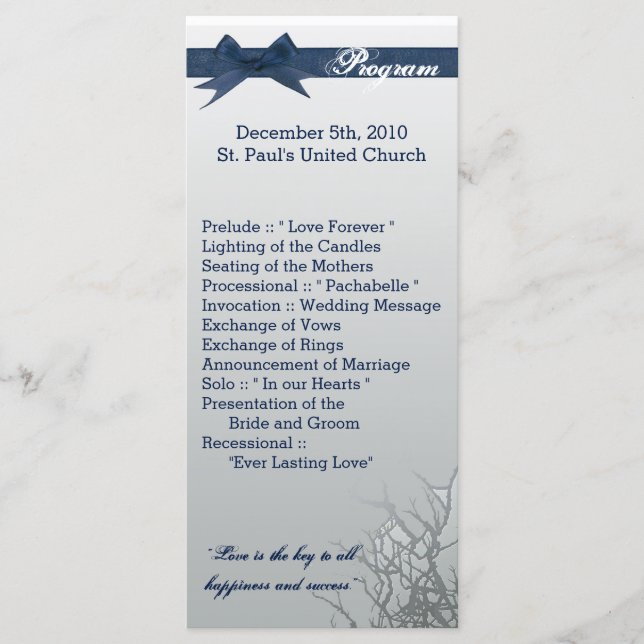 25 4x9 Wedding Program Frosted Glass Cracked Mirro (Front)