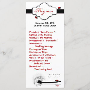 25 4x9 Wedding Program Lady Bug Dandilion Flower