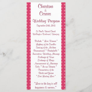 25 4x9 Wedding Program Love Birds Pink Stripes/Dot