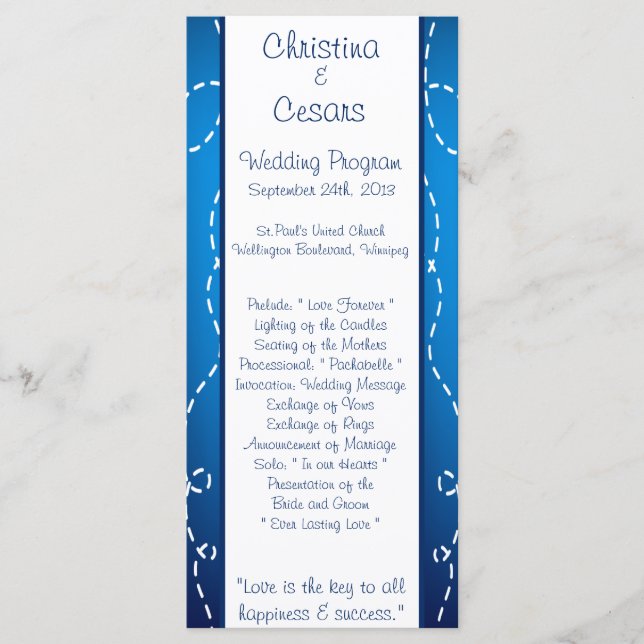 25 4x9 Wedding Program Paper Plane Blue Swirl Loop (Front)