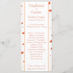 25 4x9 Wedding Program Penguin Love/Hearts Peach