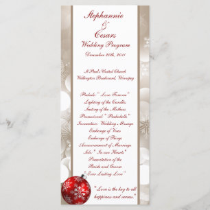 25 4x9 Wedding Program Winter Blur
