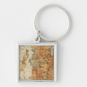 25 Density of increase of population, US, 18901900 Keychain