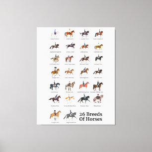 26 Horse Breeds Canvas Print