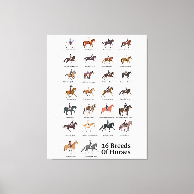 26 Horse Breeds Canvas Print (Front)