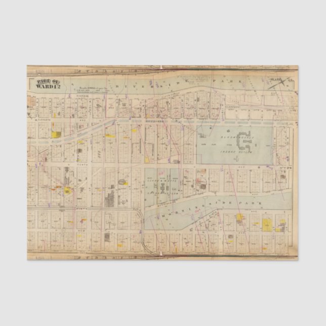 26 Ward 12 Tissue Paper (Front)