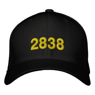 2838 EMBROIDERED HAT