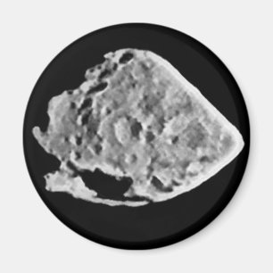 2867 Steins (1969 VC) Magnet