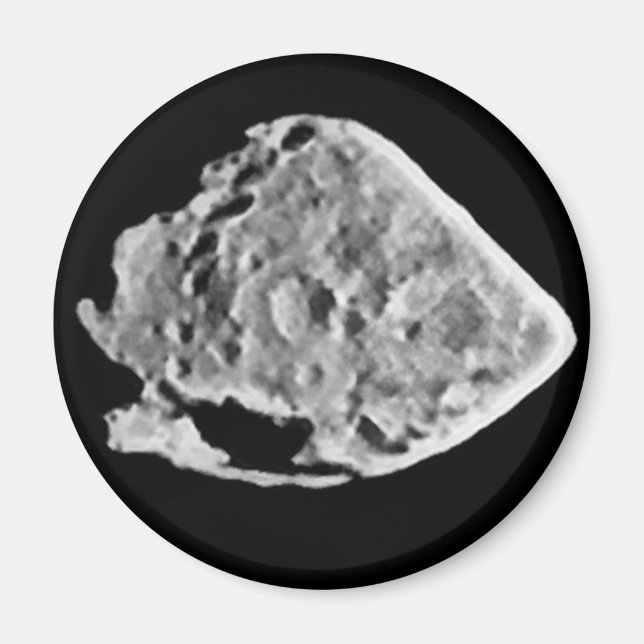 2867 Steins (1969 VC)  Magnet (Front)