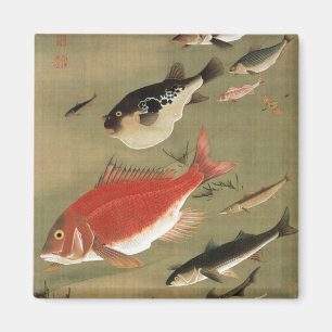 28. 群魚図, 若冲 Various Fishes, Jakuchū, Japan Art Magnet