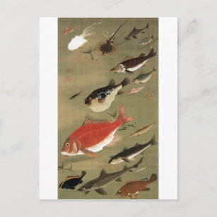 28. 群魚図, 若冲 Various Fishes, Jakuchū, Japan Art Postcard
