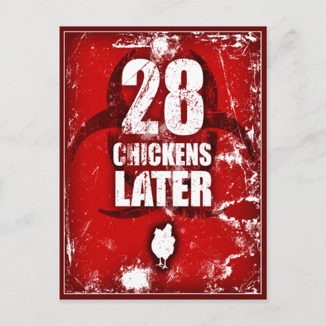 28 CHICKENS LATER POSTCARD (Front)