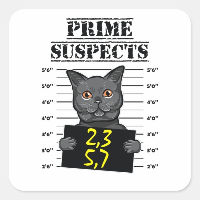 2,3,5,7 - prime suspects square sticker (Front)