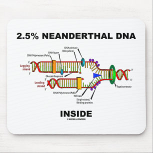 2.5% Neanderthal DNA Inside DNA Replication Mouse Pad