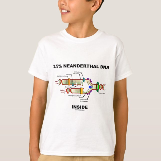 2.5% Neanderthal DNA Inside (DNA Replication) T-Shirt (Front)