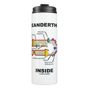 2.5% Neanderthal DNA Inside DNA Replication Thermal Tumbler