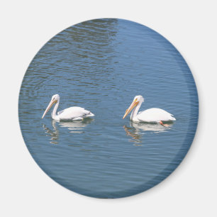 2 aimant pélicans blancs