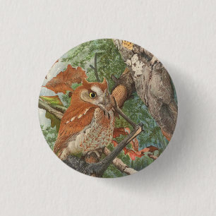 2 angry vintage owls in a tree 1 inch round button