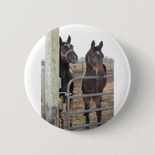 2 Barn Horses Inch Round Button