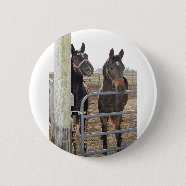 2 Barn Horses Inch Round Button (Front)